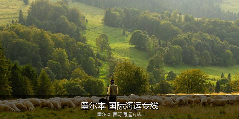 2024年中国到澳大利亚海运价格走势分析