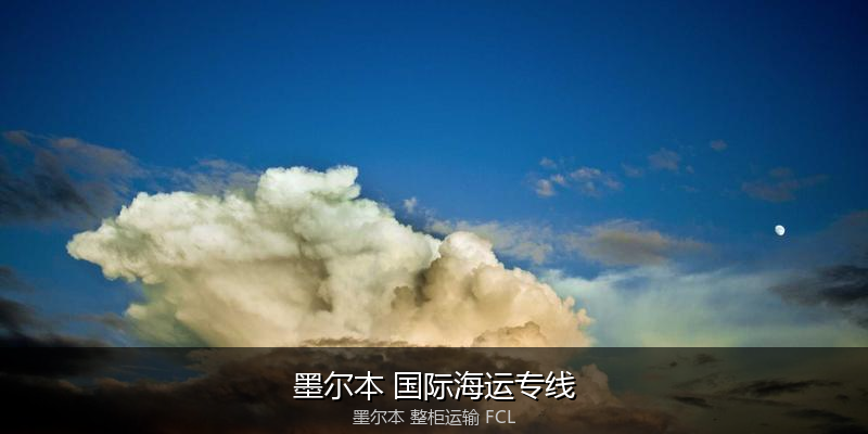 海运拼箱与整柜运输优劣对比